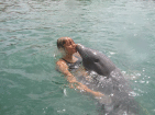 mit Delfinen schwimmen ist ein unvergessliches Erlebnis