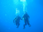 Hand in Hand...