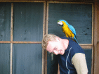 Ralf liebt Papageien